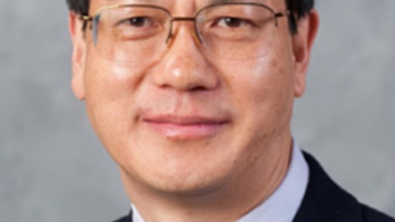电子设计自动化软件分类解析：选择与标准